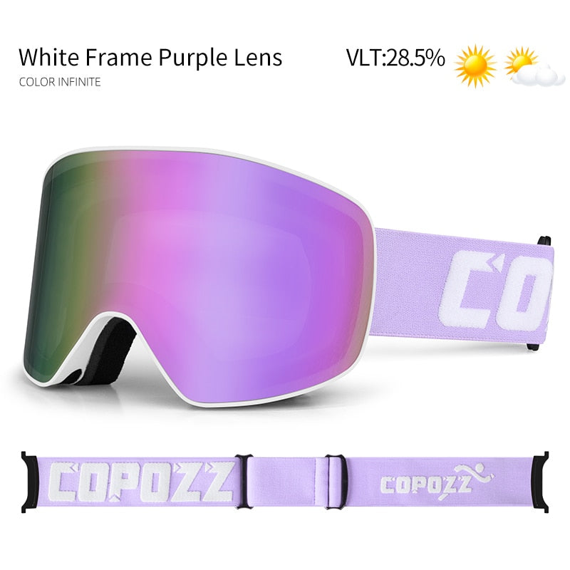 Professional Ski Glasses