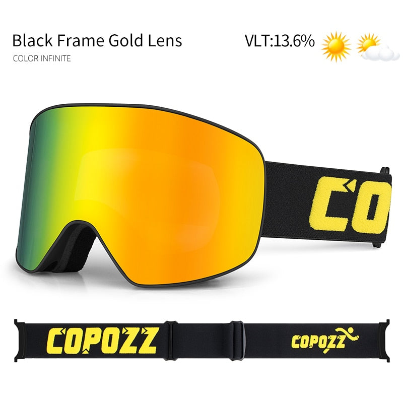 Professional Ski Glasses