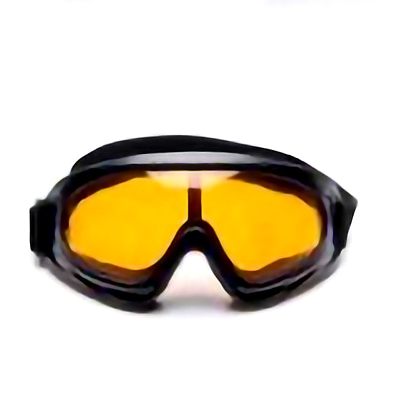 Winter Adults Ski Goggles