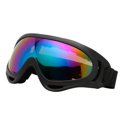 Winter Adults Ski Goggles